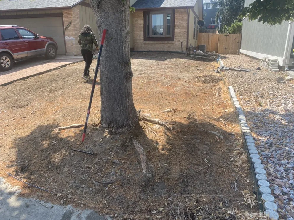 Affordable landscaping services experts serving Denver, CO - Tj’s Full Property Maintenance