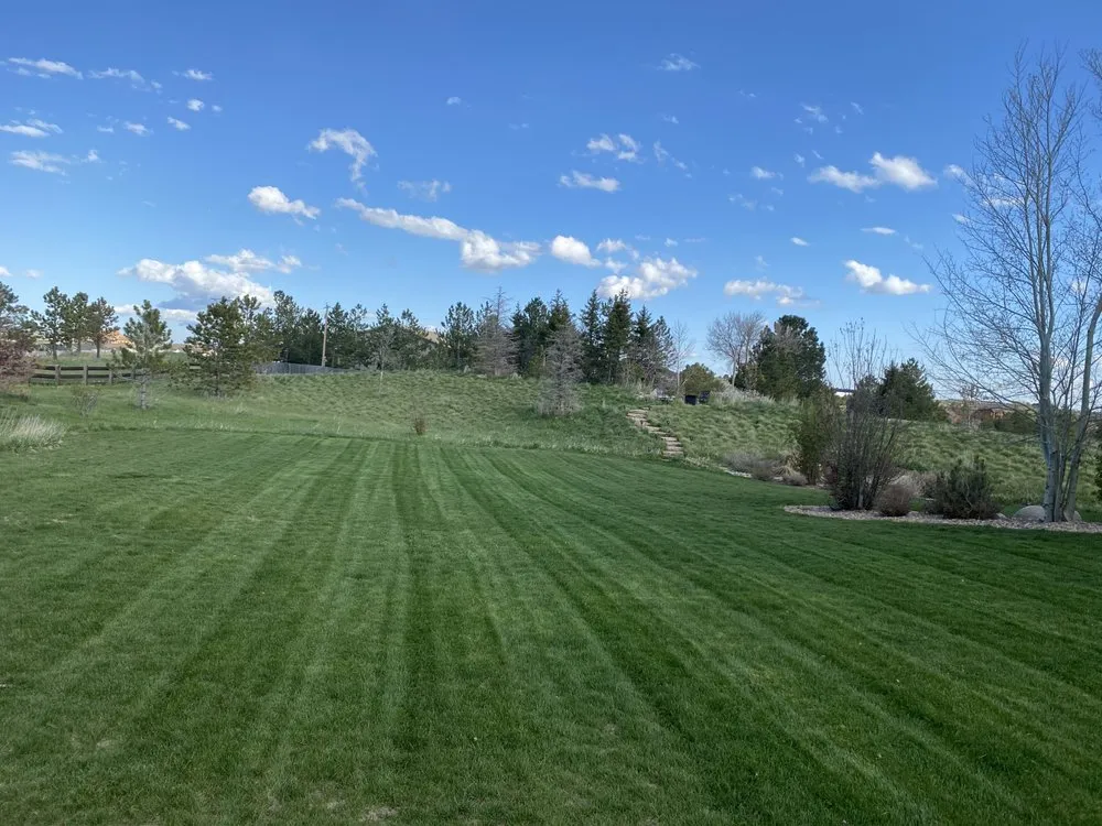 Trusted lawn care service experts serving Denver, CO - Tj’s Full Property Maintenance