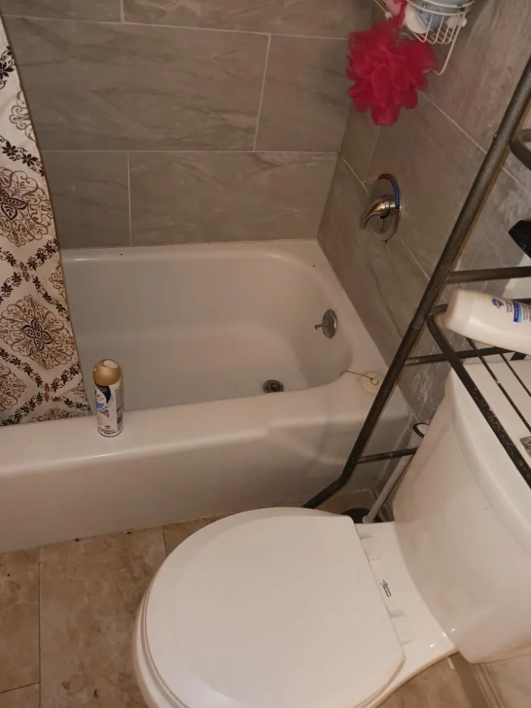 Reliable yard maintenance for beautiful yards across Victorville, CA - TJs handyman services