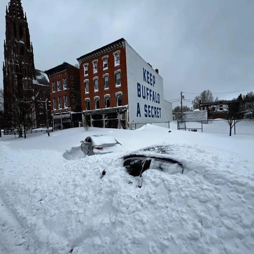 Expert yard maintenance experts serving Cheektowaga, NY - Tj’s Lake Effect Snow Plowing