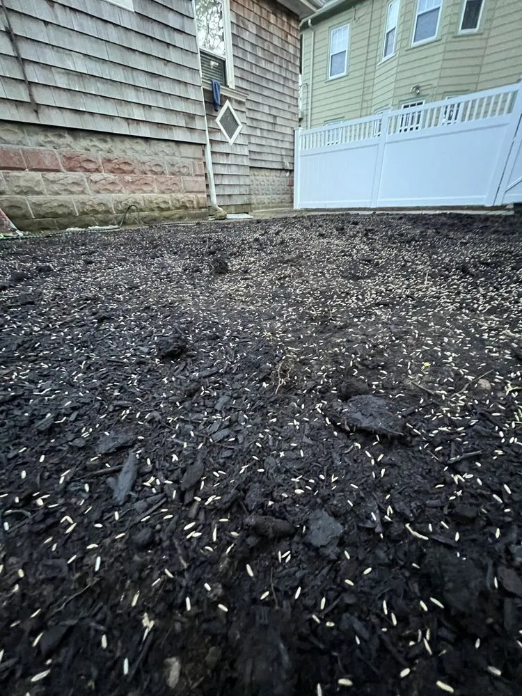 Reliable yard cleanup service near you in Acushnet, MA by Tj's Landscaping