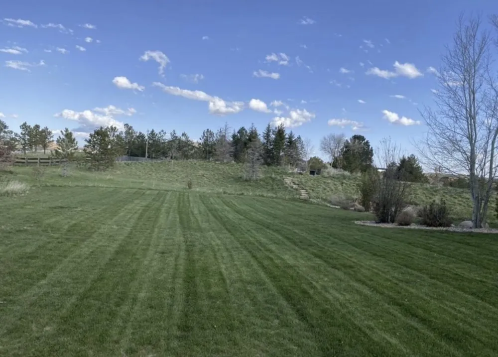 Reliable yard cleanup service in Aurora, CO - Tjs Landscaping