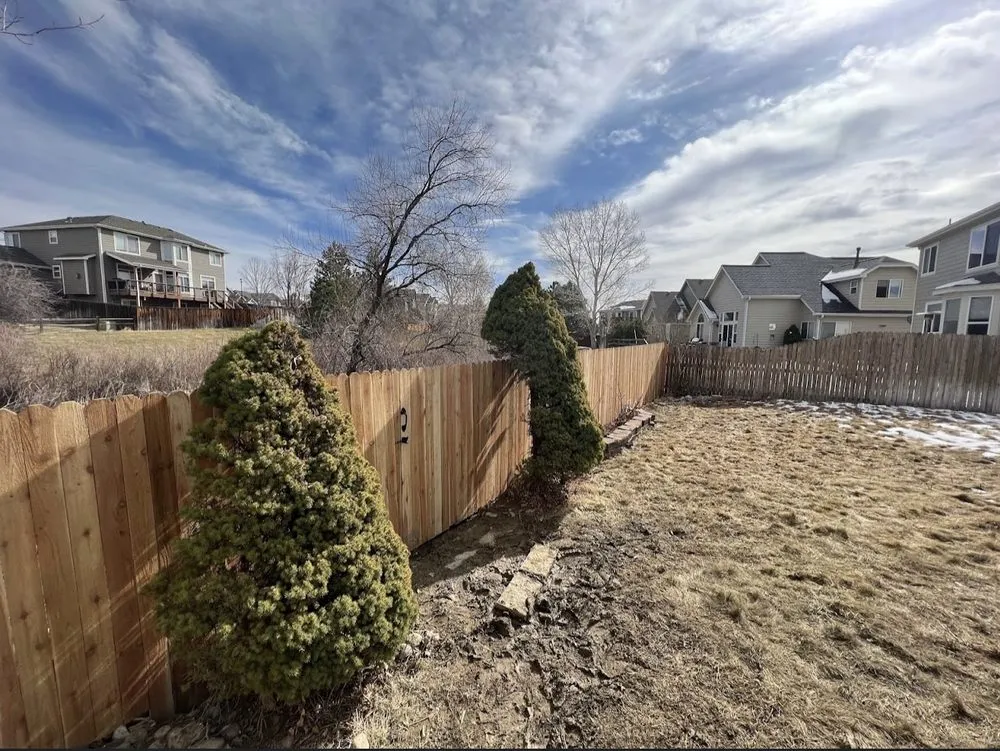 Top-rated yard cleanup service in Aurora, CO - Tjs Landscaping