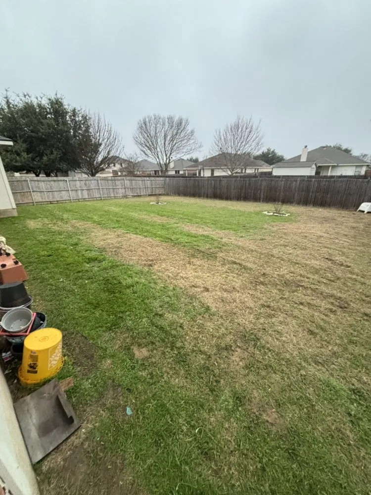 Local lawn mowing service in Hutto, TX - Tj’s Lawn Care