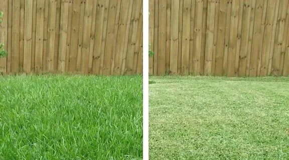 Custom residential landscaping in Baltimore, MD by TJ's Lawn Service