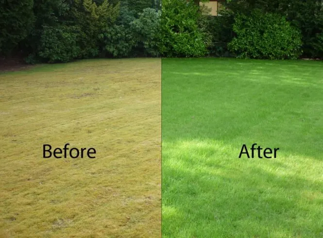 Professional lawn mowing service for residential properties in Baltimore, MD by TJ's Lawn Service