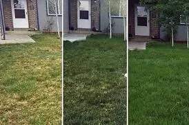 Professional landscape design experts serving Baltimore, MD - TJ's Lawn Service