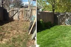 Custom lawn care service experts serving Baltimore, MD - TJ's Lawn Service
