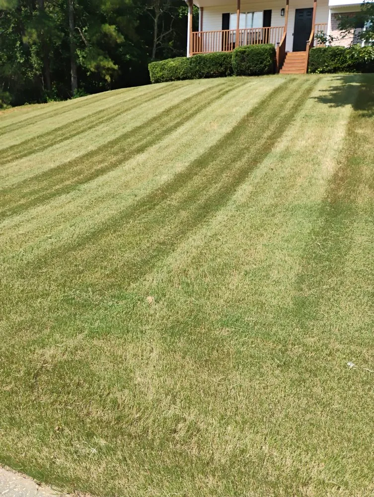 Affordable residential landscaping for year-round maintenance across Jersey, GA - TJ'S Lawn Service