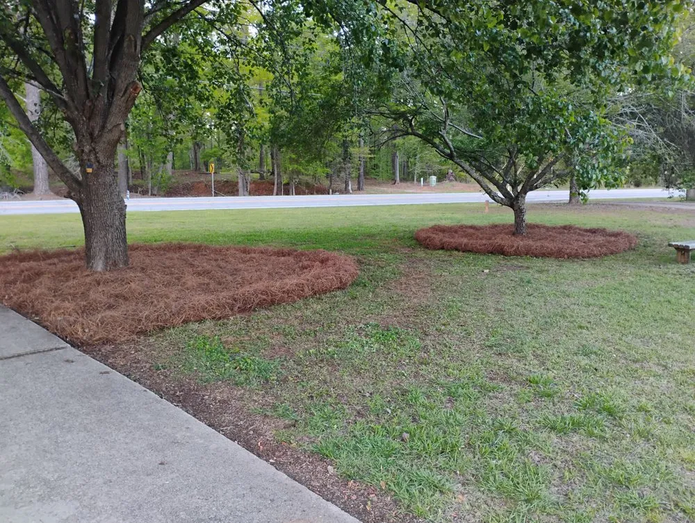 Trusted outdoor landscaping in Jersey, GA - TJ'S Lawn Service