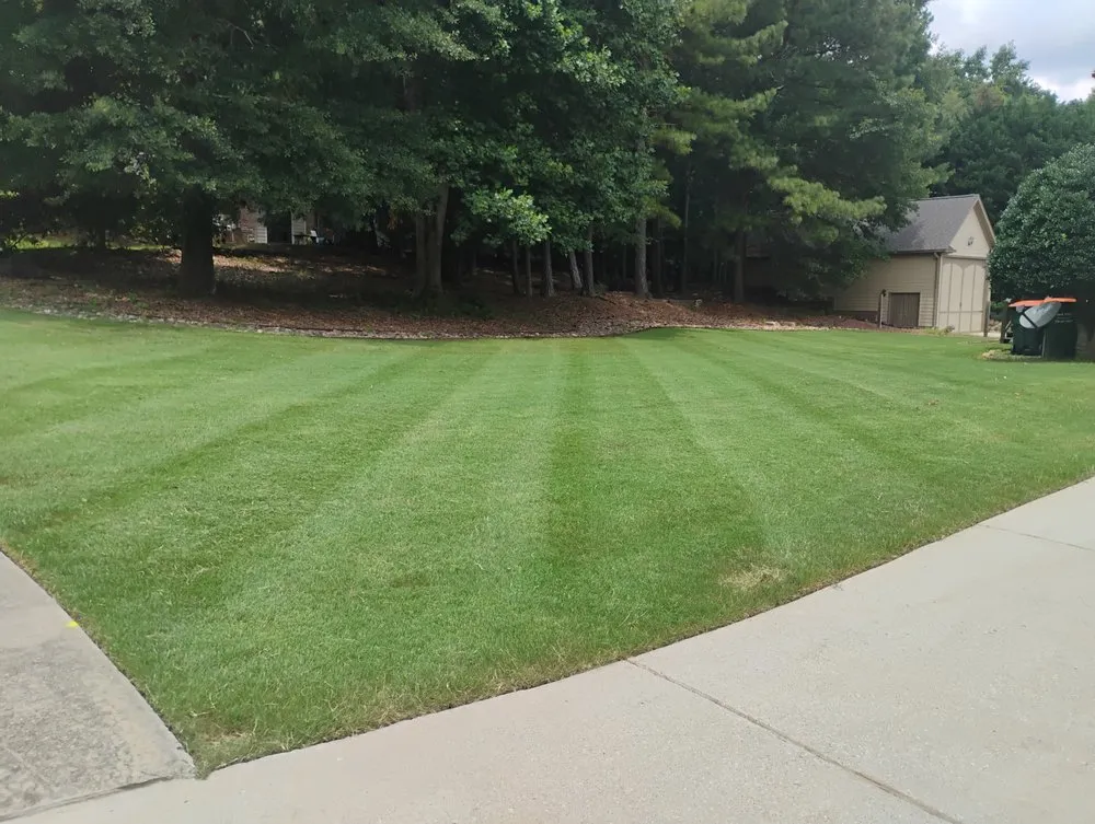 Expert lawn care service in Jersey, GA - TJ'S Lawn Service