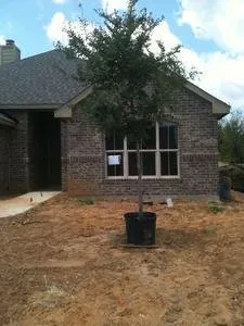 Trusted yard cleanup service experts serving Krum, TX - TJ's Lawn Service