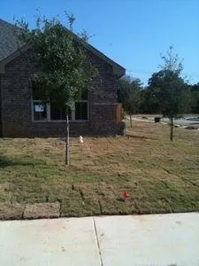 Expert landscape design experts serving Krum, TX - TJ's Lawn Service