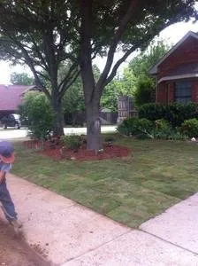 Reliable landscape design in Krum, TX - TJ's Lawn Service