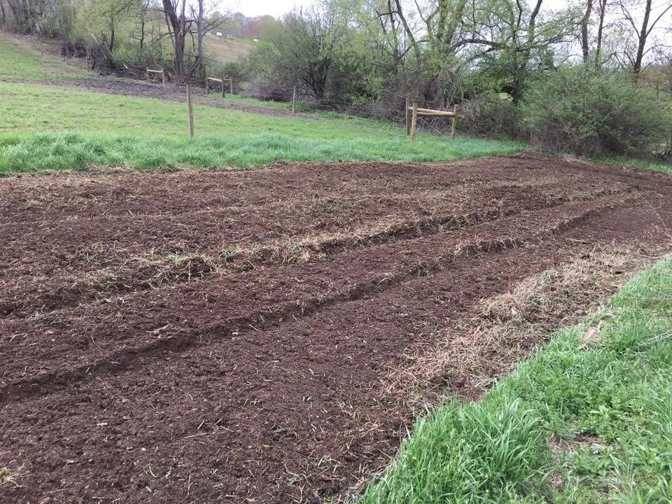 Top-rated outdoor landscaping experts serving Norwich, NY - TJ's Lawn Service NY