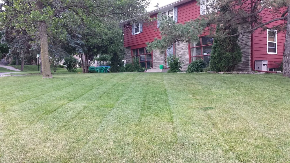 Top-rated yard cleanup service in Saint Louis Park, MN - Tj's Lawn Service