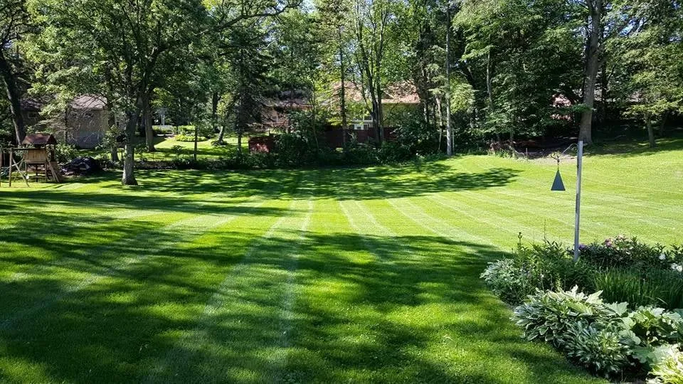 Local lawn mowing service in Saint Louis Park, MN by Tj's Lawn Service