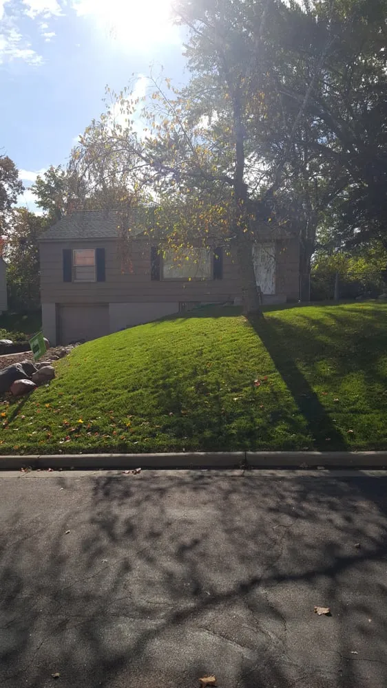 Affordable yard cleanup service for year-round maintenance in Saint Louis Park, MN by Tj's Lawn Service