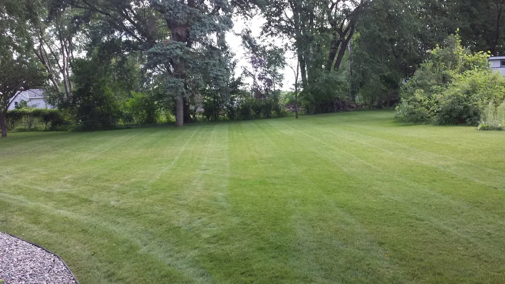 Trusted yard maintenance in Saint Louis Park, MN by Tj's Lawn Service