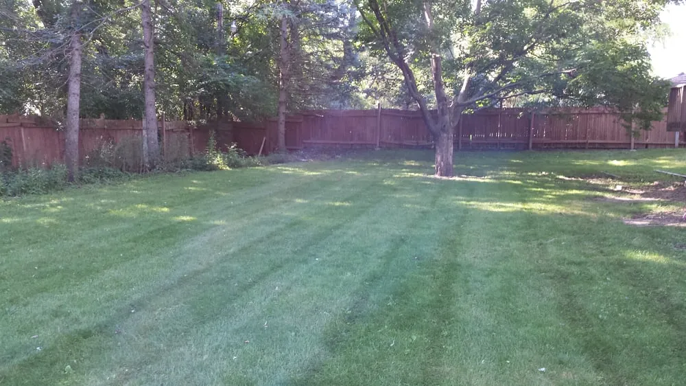 Local yard cleanup service in Saint Louis Park, MN by Tj's Lawn Service