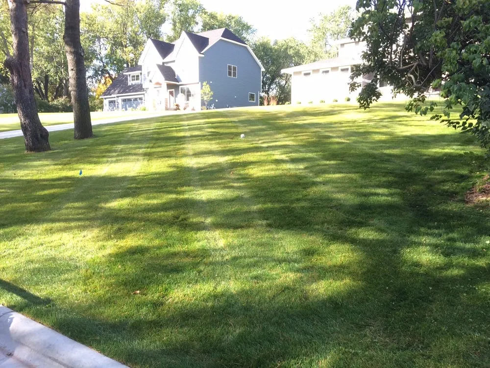 Trusted yard cleanup service in Saint Louis Park, MN by Tj's Lawn Service