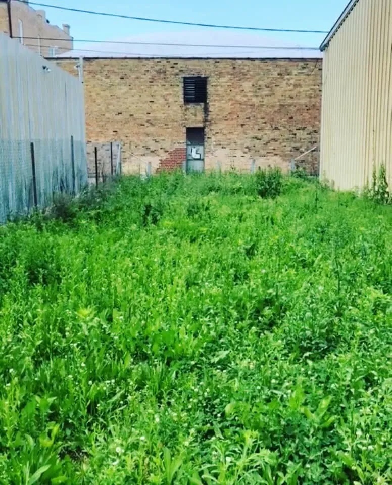 Local garden landscaping in Evanston, IL by TJ's Lawn Services