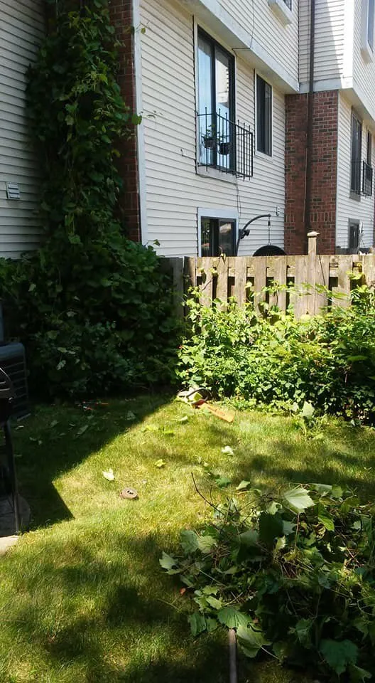 Professional garden landscaping in Evanston, IL - TJ's Lawn Services