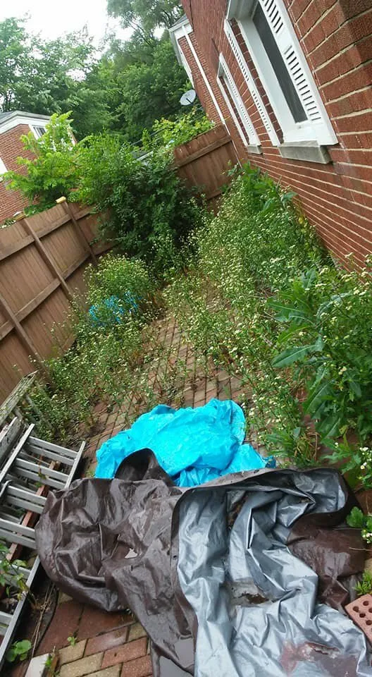 Expert landscape design in Evanston, IL by TJ's Lawn Services