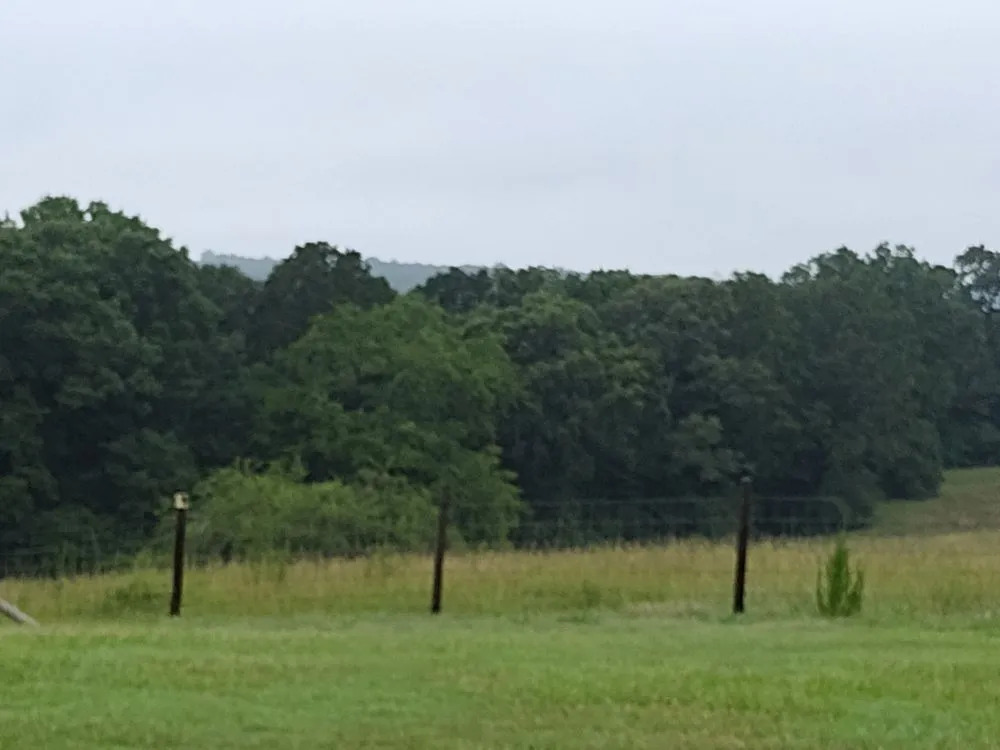 Affordable residential landscaping in Goddard, KS by TJ's Lawncare