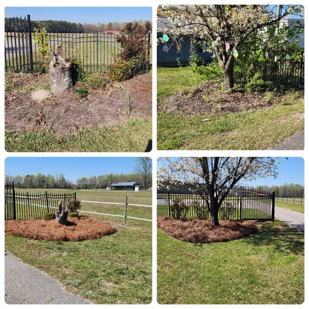 Professional outdoor landscaping in Sandyfield, NC - Tj’s Lawncare & Pressure Washing Services
