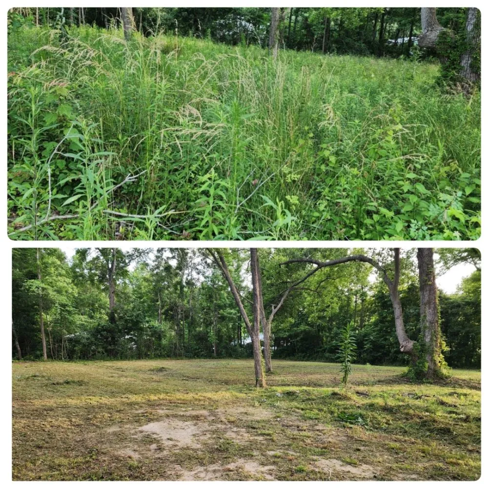 Expert yard cleanup service in Sandyfield, NC - Tj’s Lawncare & Pressure Washing Services
