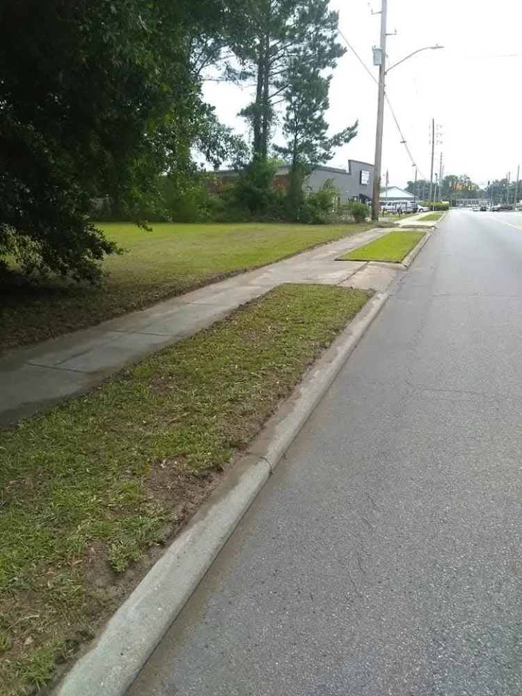 Top-rated yard cleanup service with custom design in Washington, NC by Tj's Lawncare