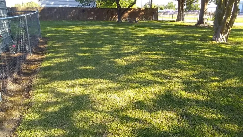 Top-rated lawn mowing service in Washington, NC by Tj's Lawncare