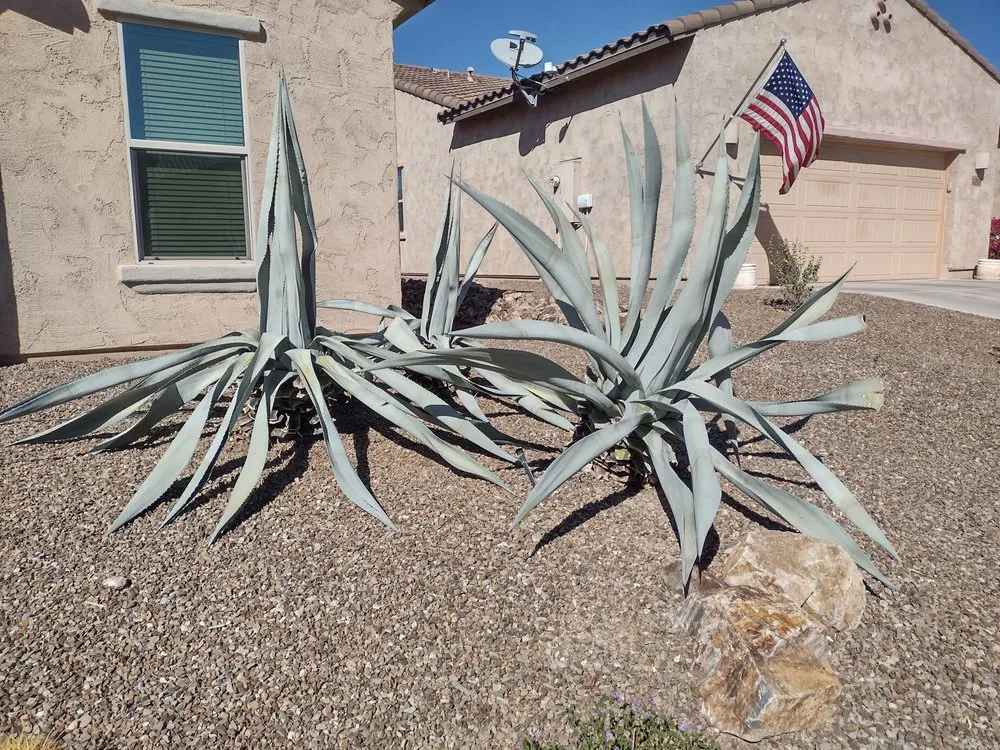 Top-rated garden landscaping experts serving Tucson, AZ - TJ's Moving, Landscaping, and Labor
