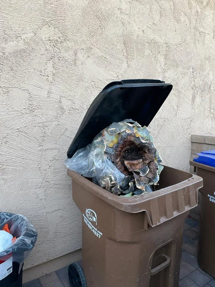 Custom yard cleanup service in Tucson, AZ - TJ's Moving, Landscaping, and Labor