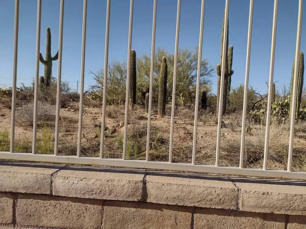 Custom landscaping services in Tucson, AZ - TJ's Moving, Landscaping, and Labor