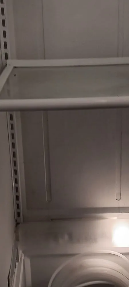 Custom garden landscaping in Tucson, AZ by TJ's Moving, Landscaping, and Labor