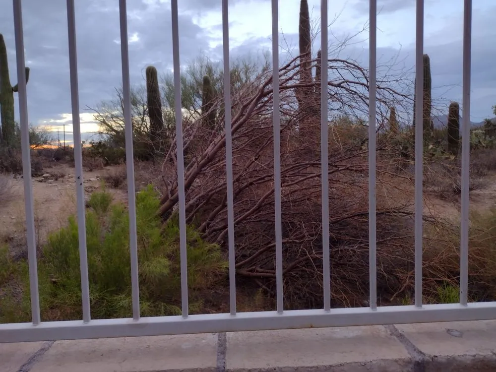 Trusted yard maintenance in Tucson, AZ - TJ's Moving, Landscaping, and Labor