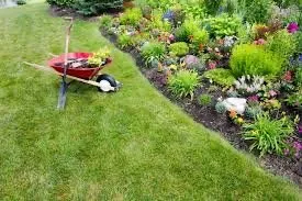 Affordable yard maintenance in Lima, OH - TJ’s Services All