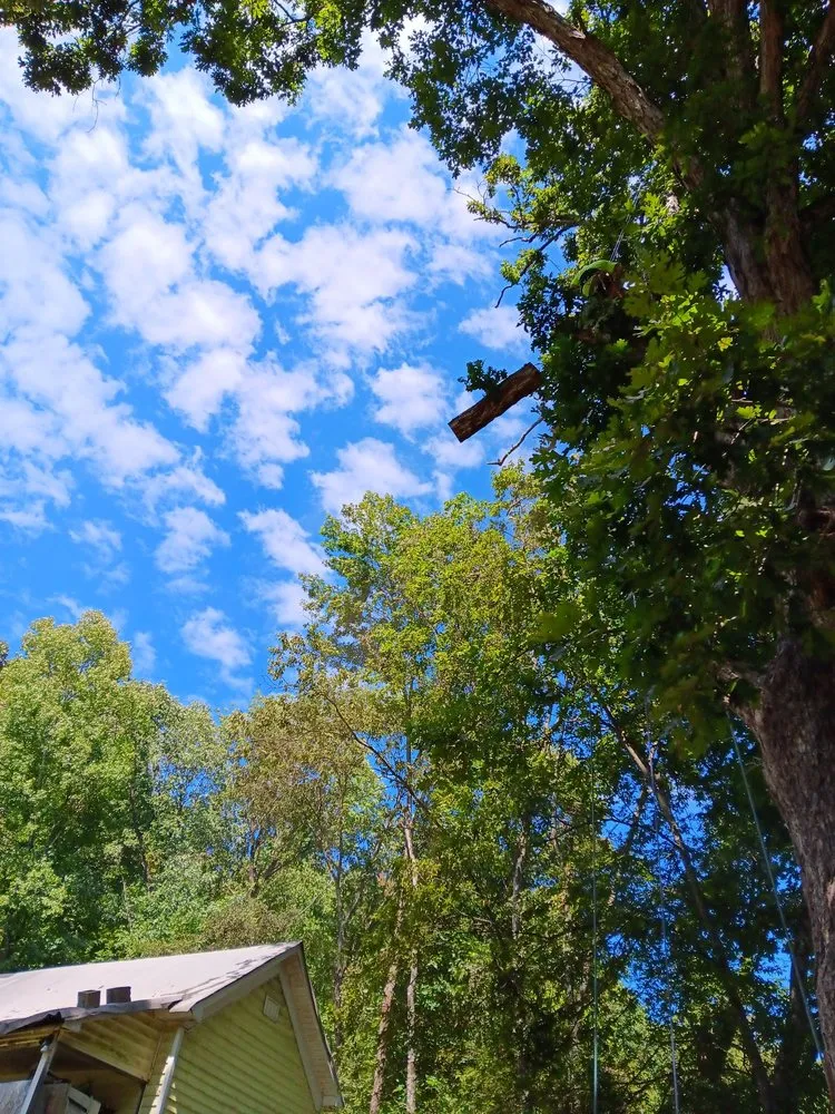 Professional landscape installation experts serving Chattanooga, TN - TJ'S Tree Service