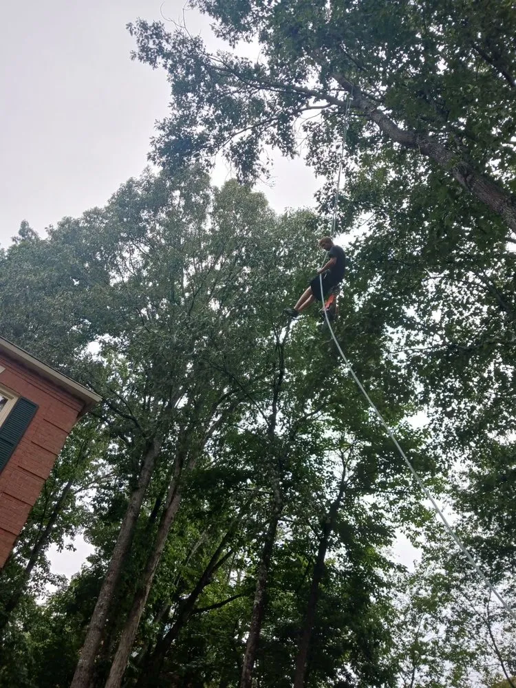 Local garden landscaping with custom design in Chattanooga, TN by TJ'S Tree Service