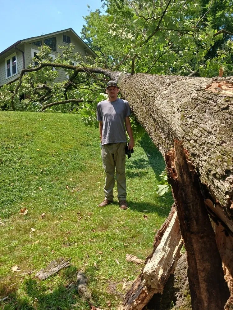 Custom yard maintenance for homes across Chattanooga, TN - TJ'S Tree Service