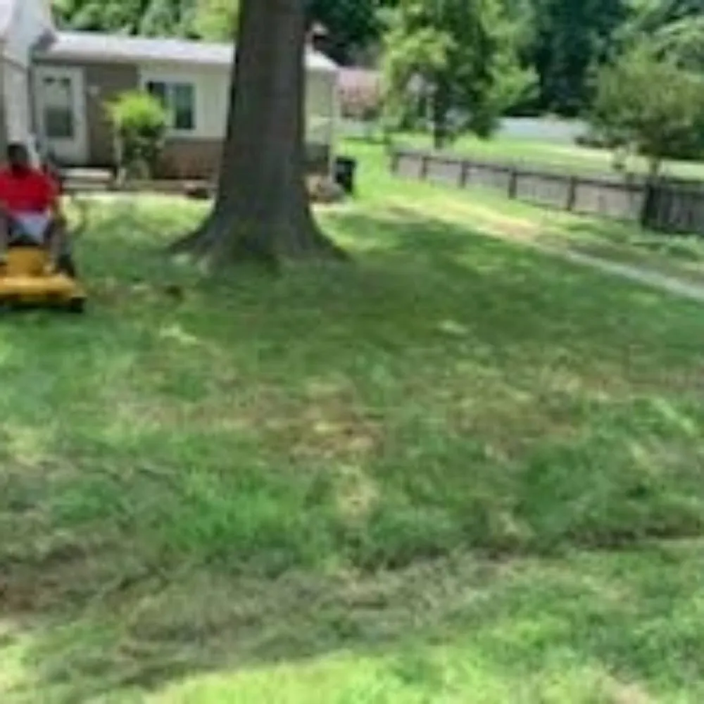 Expert lawn care service experts serving St Charles, MD - Tjs Yard Care