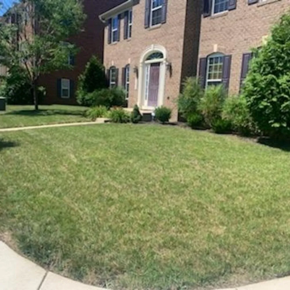 Professional landscaping services in St Charles, MD - Tjs Yard Care