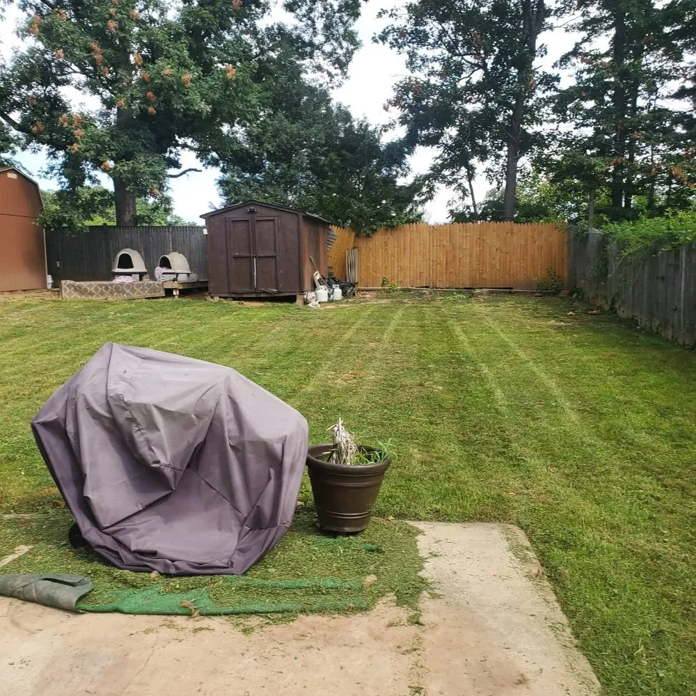 Local yard maintenance experts serving St Charles, MD - Tjs Yard Care