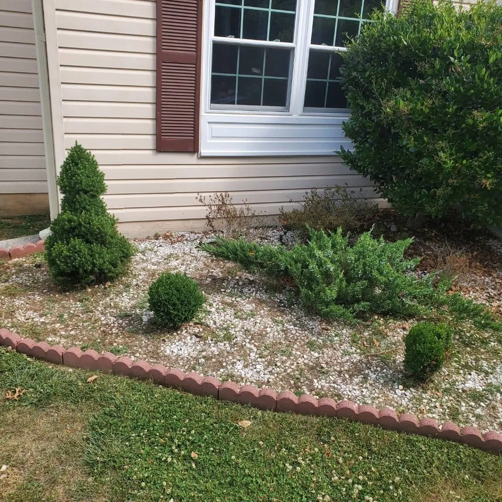 Professional landscape installation near you across St Charles, MD - Tjs Yard Care