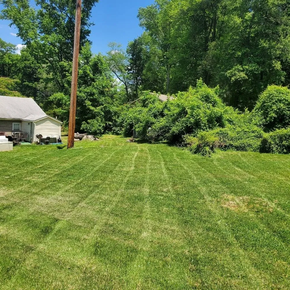 Trusted yard cleanup service for homes in St Charles, MD by Tjs Yard Care