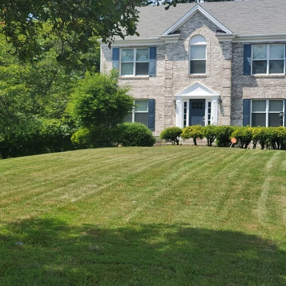 Top-rated landscape installation experts serving St Charles, MD - Tjs Yard Care