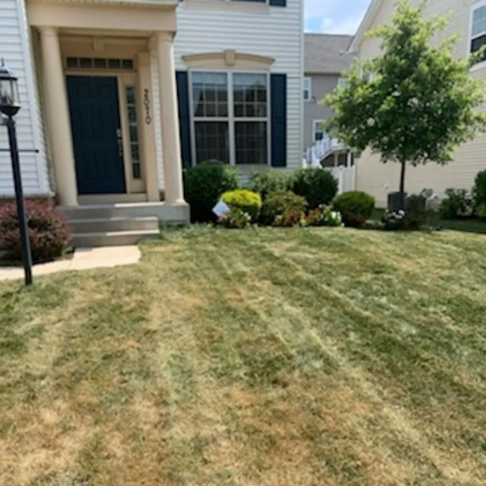 Custom yard cleanup service for beautiful yards across St Charles, MD - Tjs Yard Care