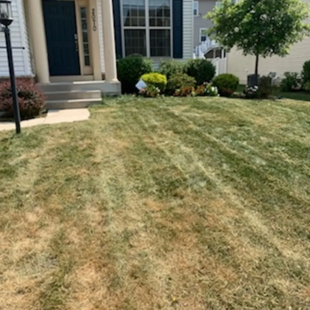 Trusted lawn care service for residential properties in St Charles, MD by Tjs Yard Care